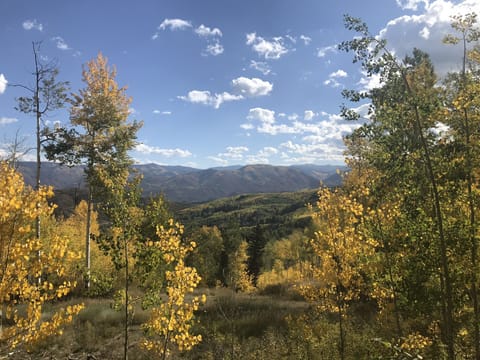 View from Great room