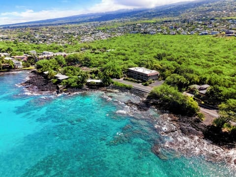 Lymans bay is a famous surfers paradise