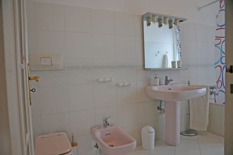 Combined shower/tub, hair dryer, bidet, towels