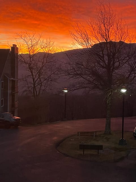 Mount Leconte sunrise from primary room window!