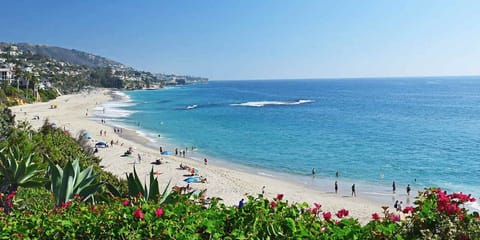 Beach nearby, beach towels