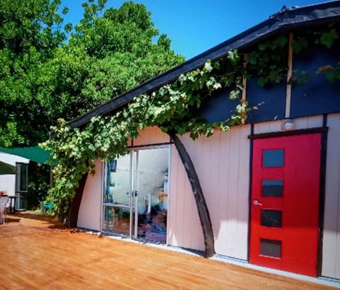 The tunnel house in summer