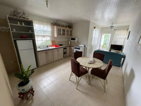 Private kitchen | Fridge, microwave, oven, electric kettle