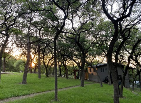 Heavily wooded neighborhood. Bungalow stands alone from main house.