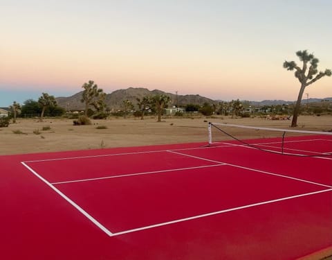 Sport court