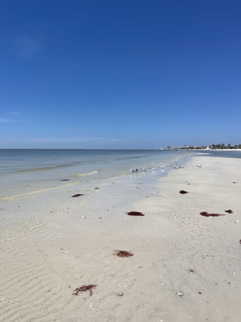 Beach nearby, sun loungers, beach towels