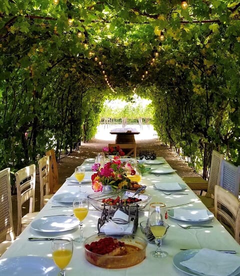 60ft grapevine pergola with 2 14 ft wine barrel tables offering plenty of shade 