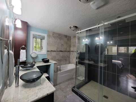 Combined shower/tub, hair dryer, towels, soap