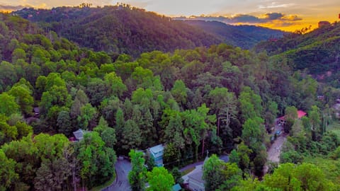 Look at the beautiful forest around the house! And the river is right there!
