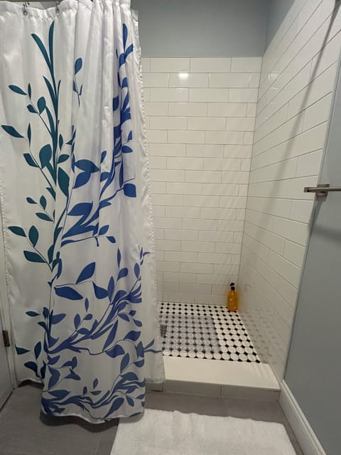 Combined shower/tub, hair dryer, towels, soap