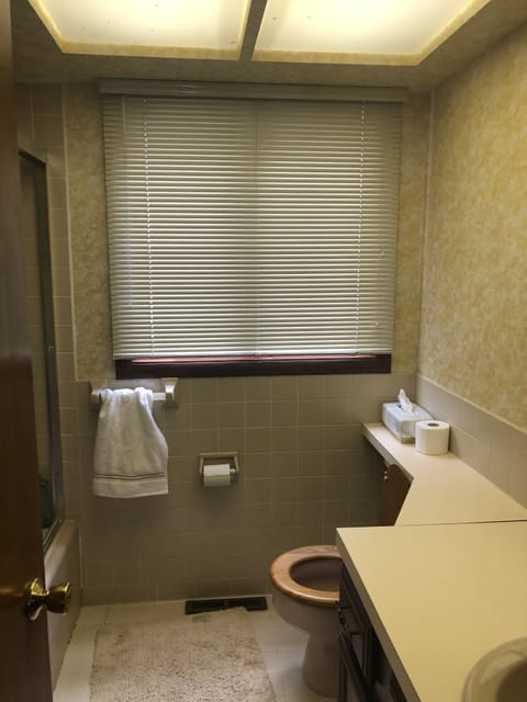 Combined shower/tub, hair dryer, towels