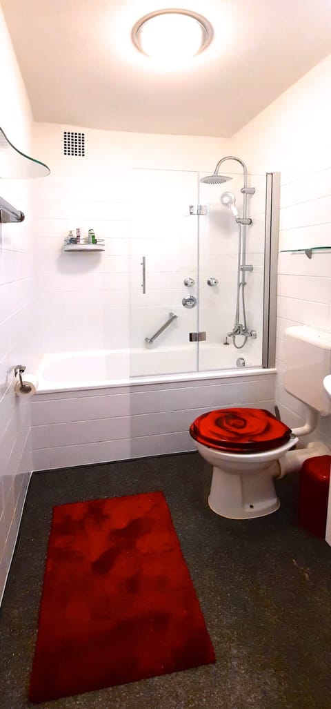 Combined shower/tub, hair dryer, towels, soap