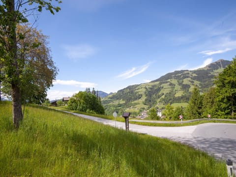 Region [summer] (>5 km)