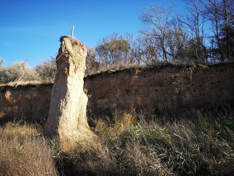 Town/city in general