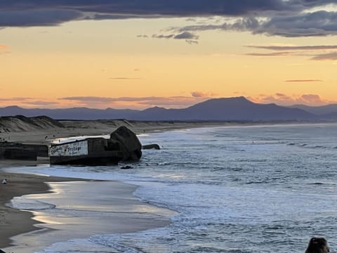 Beach | On the beach