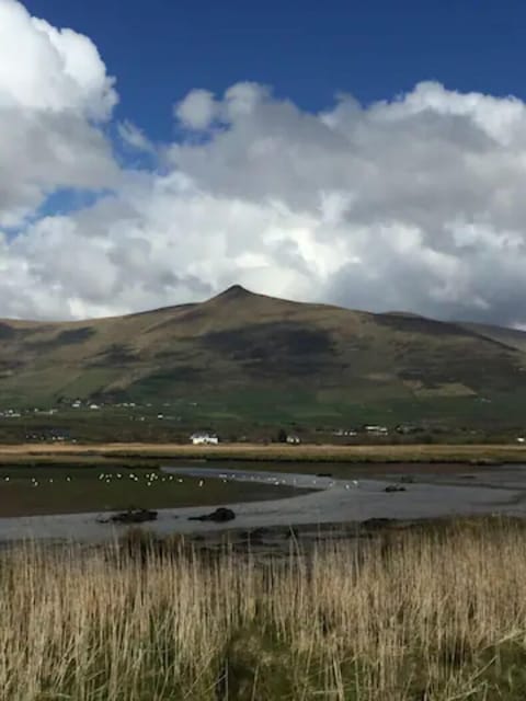 20 min walk from cottage for this view