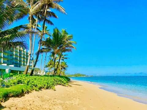 On the beach, sun loungers, beach towels