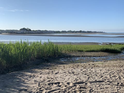 Beach nearby, sun loungers