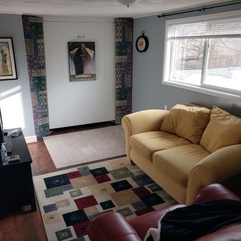 Main Salon with South facing window to back yard.