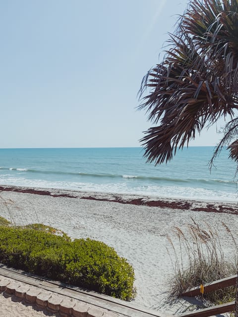 Beach nearby, sun loungers, beach towels