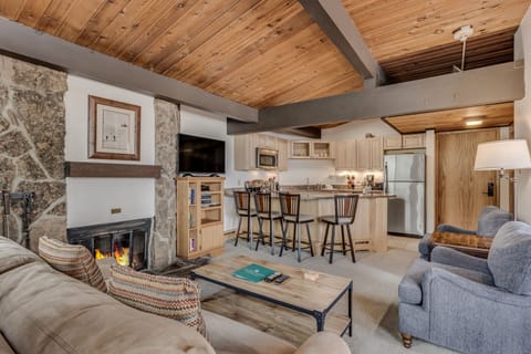 Living area with wood-burning fireplace