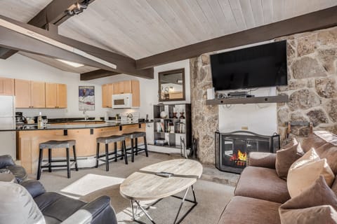 Living room with wood-burning fireplace