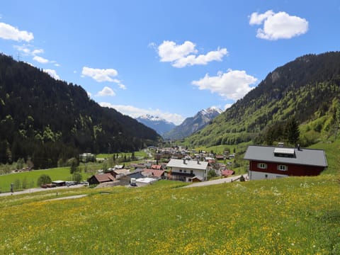View from Holiday Home [summer]
