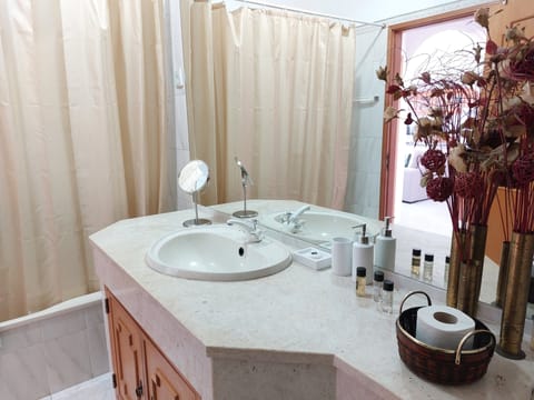 Combined shower/tub, hair dryer, bidet, towels