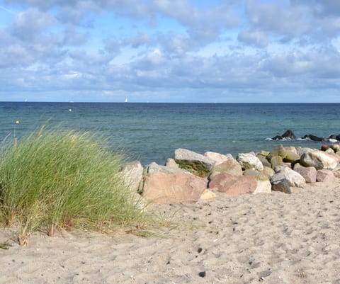 On the beach, sun loungers