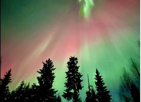 Northern Lights above the property!

