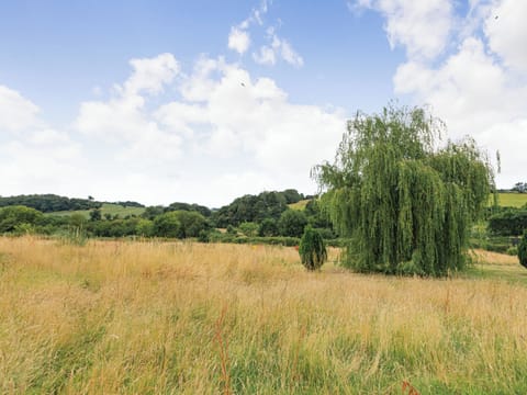 Garden | West Brae, Bishops Tawton, near Barnstaple