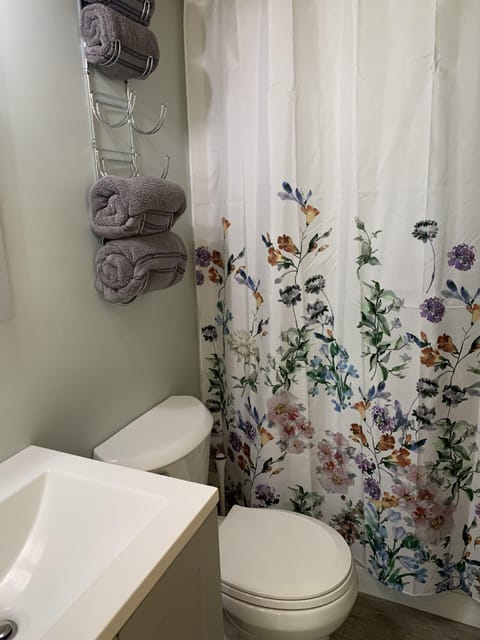 Combined shower/tub, hair dryer, towels, soap