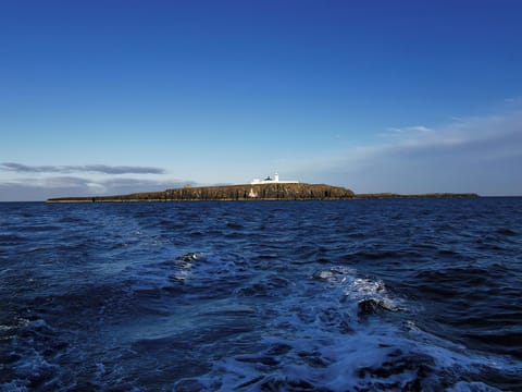 Surrounding area | Noble Nook, Seahouses