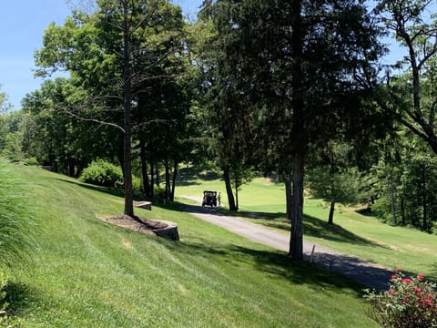  View of 13th hole at Ledgestone golf course. This is right behind the condo. 