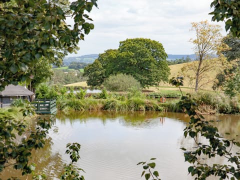 Setting | Coot Roundhouse - Ponsford Ponds, Knowle, near Cullompton