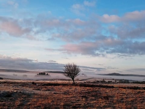 Surrounding area | Beech Tree Cottage at Blackaton Manor Farm, Widecombe-in-the-Moor