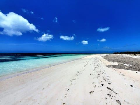 Beach nearby, beach towels