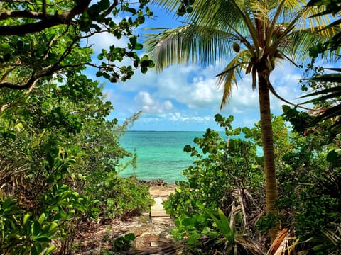 Beach nearby, beach towels