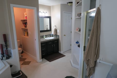 Combined shower/tub, jetted tub, hair dryer, towels