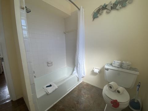 Combined shower/tub, hair dryer, towels, soap