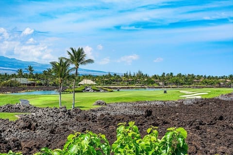 VIEWS FROM OUR TERRACE