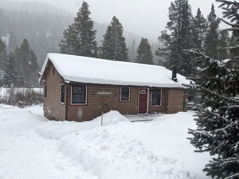 Cabin in the snow