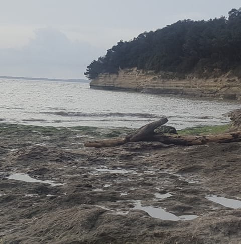 Beach nearby, sun loungers