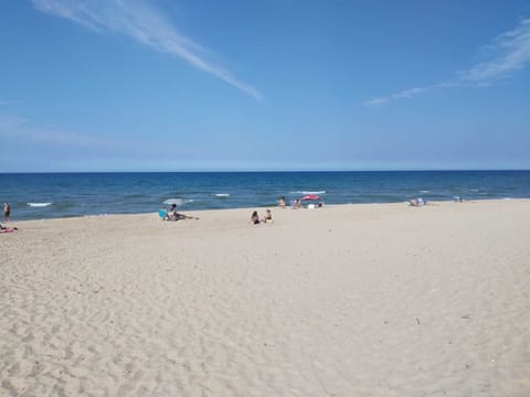 On the beach