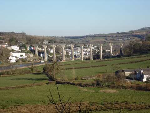 View from Cotehele woodland to Calstock