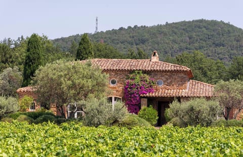 A large house set in the vineyards