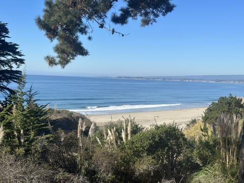 Beach nearby, beach towels