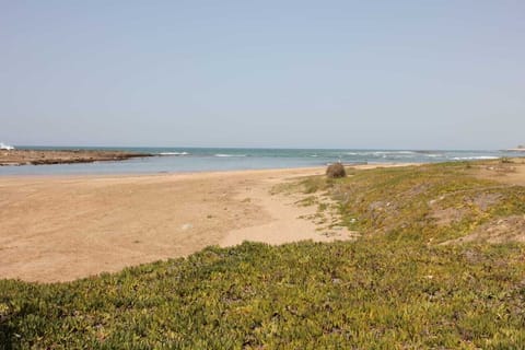 On the beach, sun loungers, beach towels