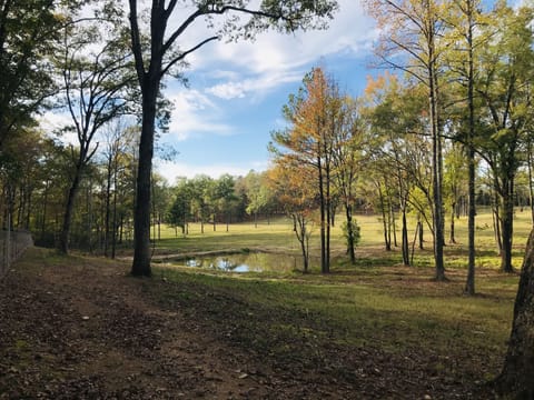 View of pond
