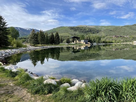 Nottingham Lake short walk away